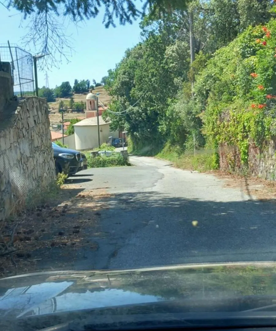 Apartment Appartamento Vacanze Malu Moneglia