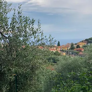 Case Giardino Appartamento