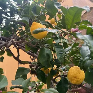  Appartement Vicino Al Mare